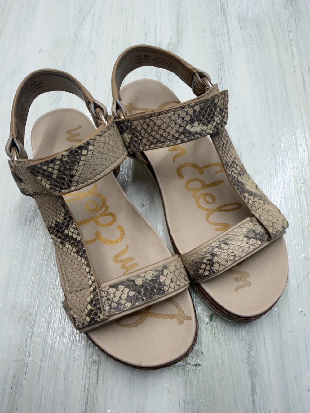 Sam Edelman Annalise Snake Print Sport Sandals Sz 6.5